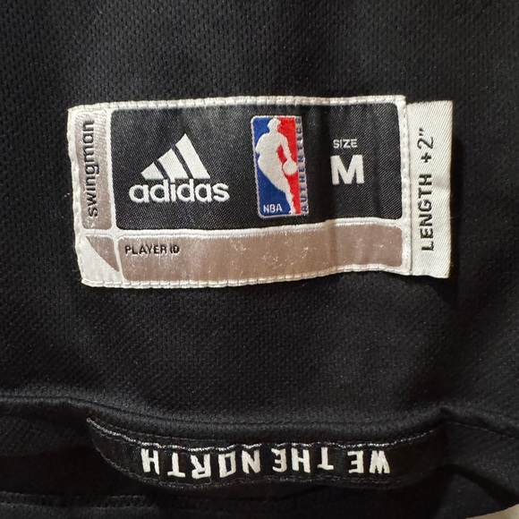 DeMar DeRozan Toronto Raptors NBA Basketball Jersey - Picture 3 of 7